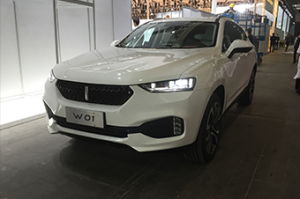 w01汽车报价是多少 w01汽车报价是多少