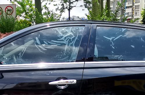 汽车膜隔热多少钱 汽车膜隔热多少钱