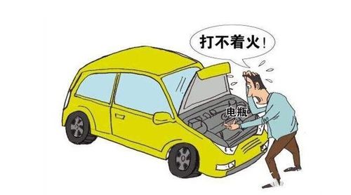 汽车小电瓶多少付 汽车小电瓶多少付