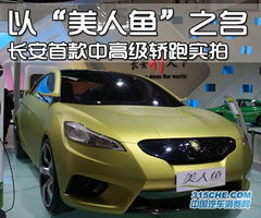美人鱼汽车多少钱 美人鱼汽车多少钱