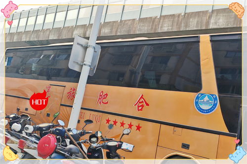 岳池至仪陇汽车班次多少 岳池至仪陇汽车班次多少