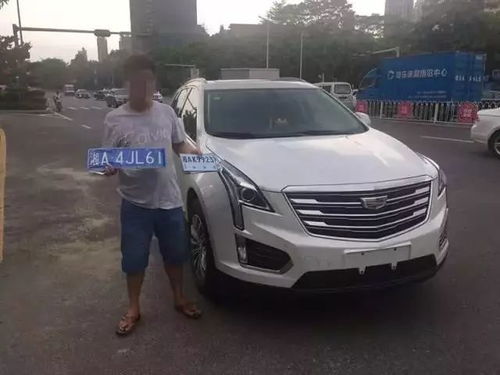 深圳铁骑有多少辆汽车 深圳铁骑有多少辆汽车