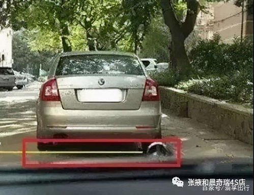 汽车左前车距多少合适