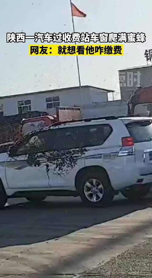 陕西汽车年审费用多少啊
