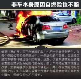 汽车全险多少年不让上 汽车全险多少年不让上