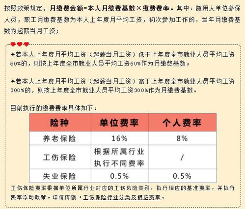 代表建议给应届生3到5年社保补贴 代表建议给应届生3到5年社保补贴