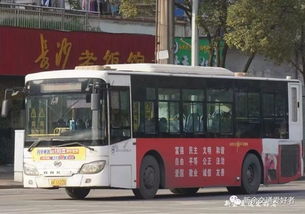新余公共汽车电话多少 新余公共汽车电话多少