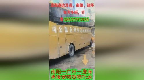 南阳到桐柏汽车多少钱 南阳到桐柏汽车多少钱