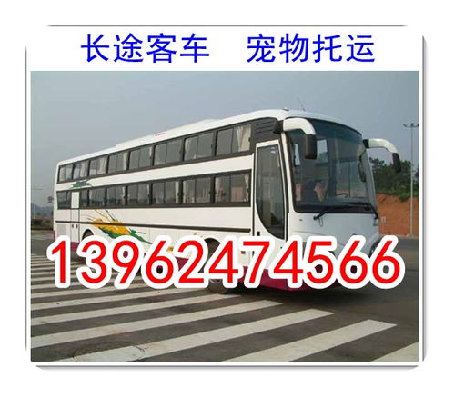 周口到商水汽车多少钱 周口到商水汽车多少钱
