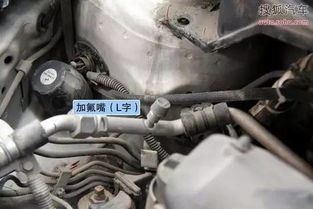 加氟多少汽车 加氟多少汽车
