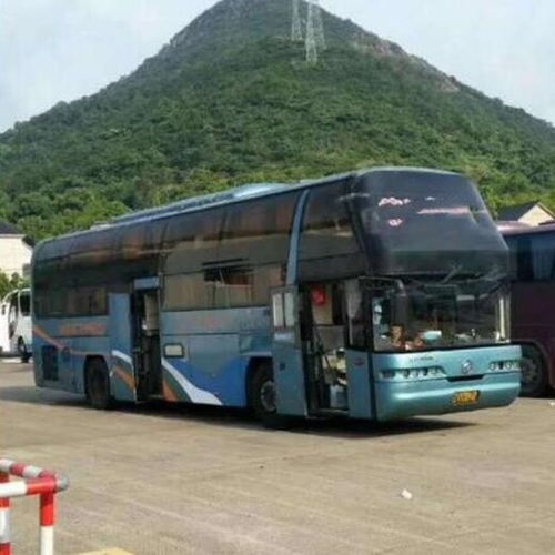 重庆到山东的汽车多少 重庆到山东的汽车多少