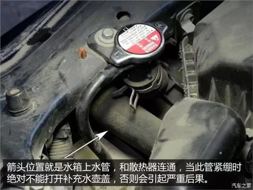 汽车冷却液加多少 汽车冷却液加多少