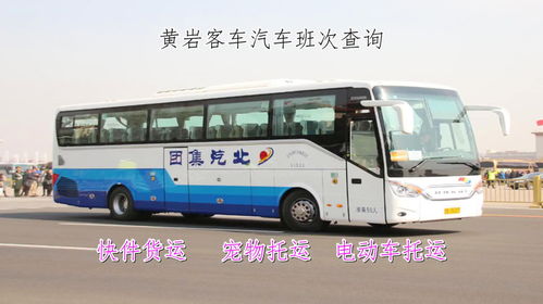 巢湖汽车流量多少 巢湖汽车流量多少