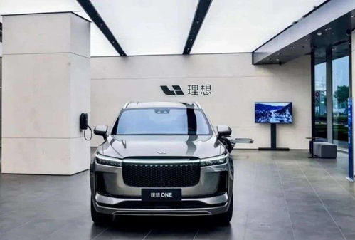 电动汽车月收入有多少 电动汽车月收入有多少