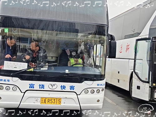 日照至濮阳汽车电话多少 日照至濮阳汽车电话多少
