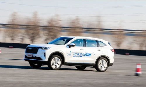 柠檬汽车价格是多少 柠檬汽车价格是多少