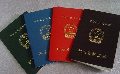 汽车教练证多少钱