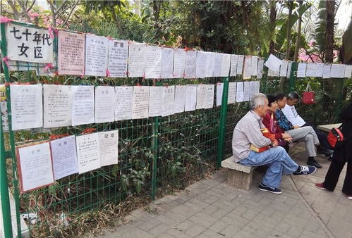 深圳营运汽车年检多少钱 深圳营运汽车年检多少钱