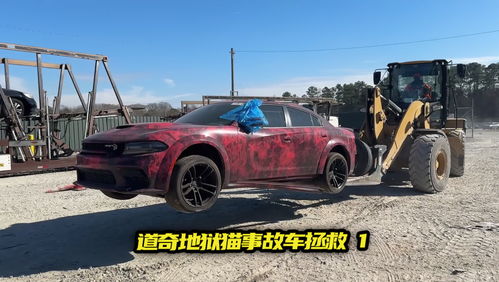 地狱猫汽车多少钱