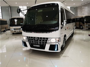 九龙汽车15座价格多少 九龙汽车15座价格多少