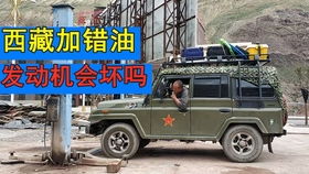汽车自媒体拍车收入多少