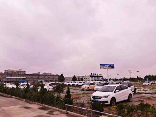 新乡市淹了多少汽车
