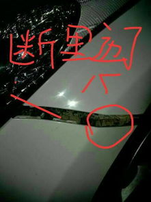 吉利汽车换保险杠多少钱 吉利汽车换保险杠多少钱