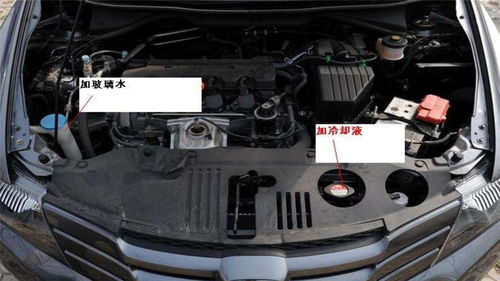 汽车加水加多少 汽车加水加多少