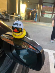 小黄汽车多少钱 小黄汽车多少钱