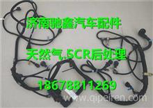汽车发动机线束多少钱 汽车发动机线束多少钱