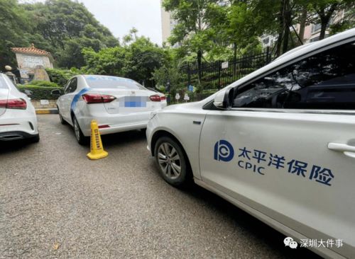 深圳98年汽车数量多少 深圳98年汽车数量多少