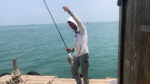 小男孩出海钓鱼睡着漂流一夜终获救 小男孩出海钓鱼睡着漂流一夜终获救