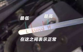 汽车机油少怎么显示多少 汽车机油少怎么显示多少