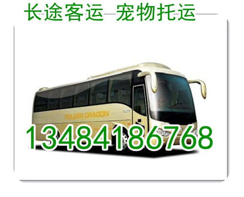 郑州到平湖汽车多少钱 郑州到平湖汽车多少钱