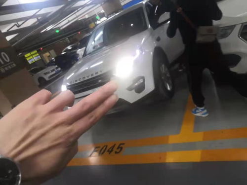 汽车活押利息多少