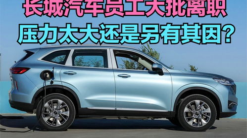 长城汽车员工多少人 长城汽车员工多少人