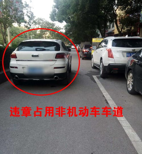 东乡到宜黄汽车多少钱 东乡到宜黄汽车多少钱