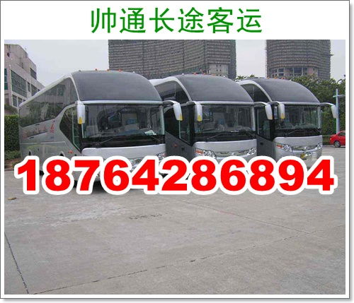 商丘到洛阳汽车多少钱 商丘到洛阳汽车多少钱
