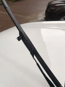 汽车单个雨刮器多少钱 汽车单个雨刮器多少钱