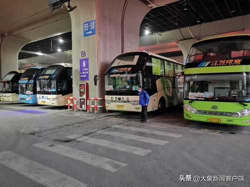 郑州有多少个汽车站 郑州有多少个汽车站