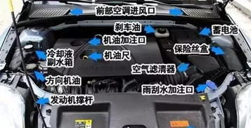 汽车油检价格多少 汽车油检价格多少