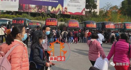 东莞到容县汽车费多少 东莞到容县汽车费多少