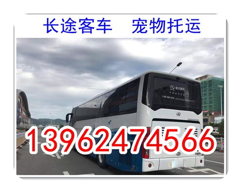射阳到赣榆汽车票多少 射阳到赣榆汽车票多少