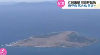 特朗普向无人岛加税 岛上挤满了企鹅 特朗普向无人岛加税 岛上挤满了企鹅