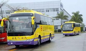 东莞有多少公共汽车 东莞有多少公共汽车
