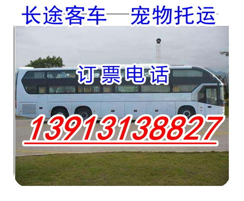 内乡到射阳多少钱汽车 内乡到射阳多少钱汽车
