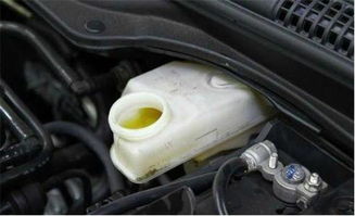 汽车有多少种油得换 汽车有多少种油得换