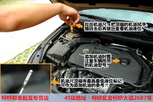 起亚汽车机油怎么调多少 起亚汽车机油怎么调多少
