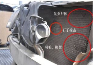 小汽车能装多少水箱 小汽车能装多少水箱