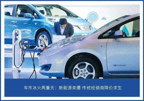 小型汽车强制险多少钱 小型汽车强制险多少钱